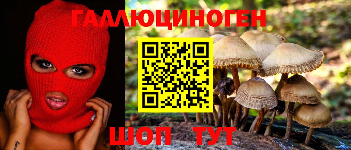 Чусовой  Псилоцибиновые грибы Psilocybine cubensis  Вход с VPN 